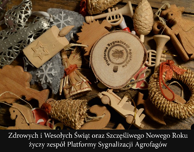 Wesołych Świąt